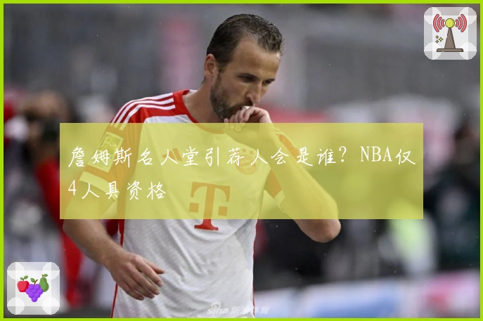 詹姆斯名人堂引荐人会是谁?NBA仅4人具资格